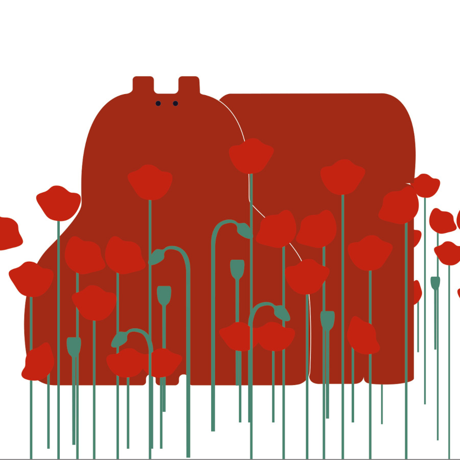 hippopotame rouge au milieu des coquelicots