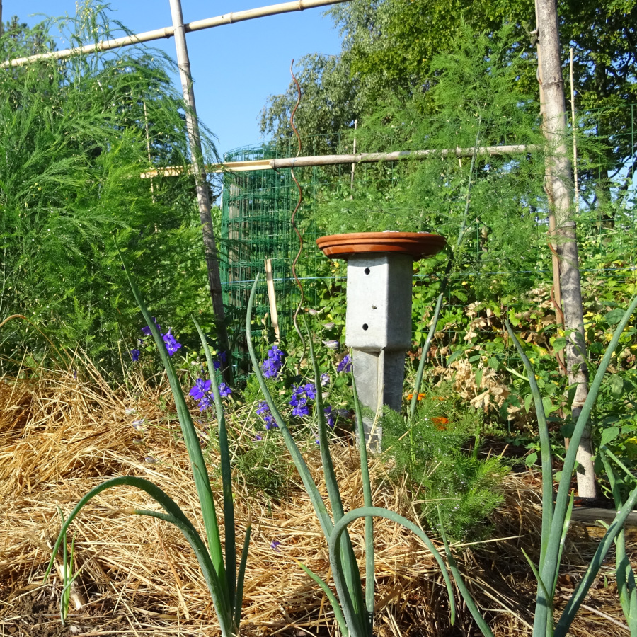 potager
