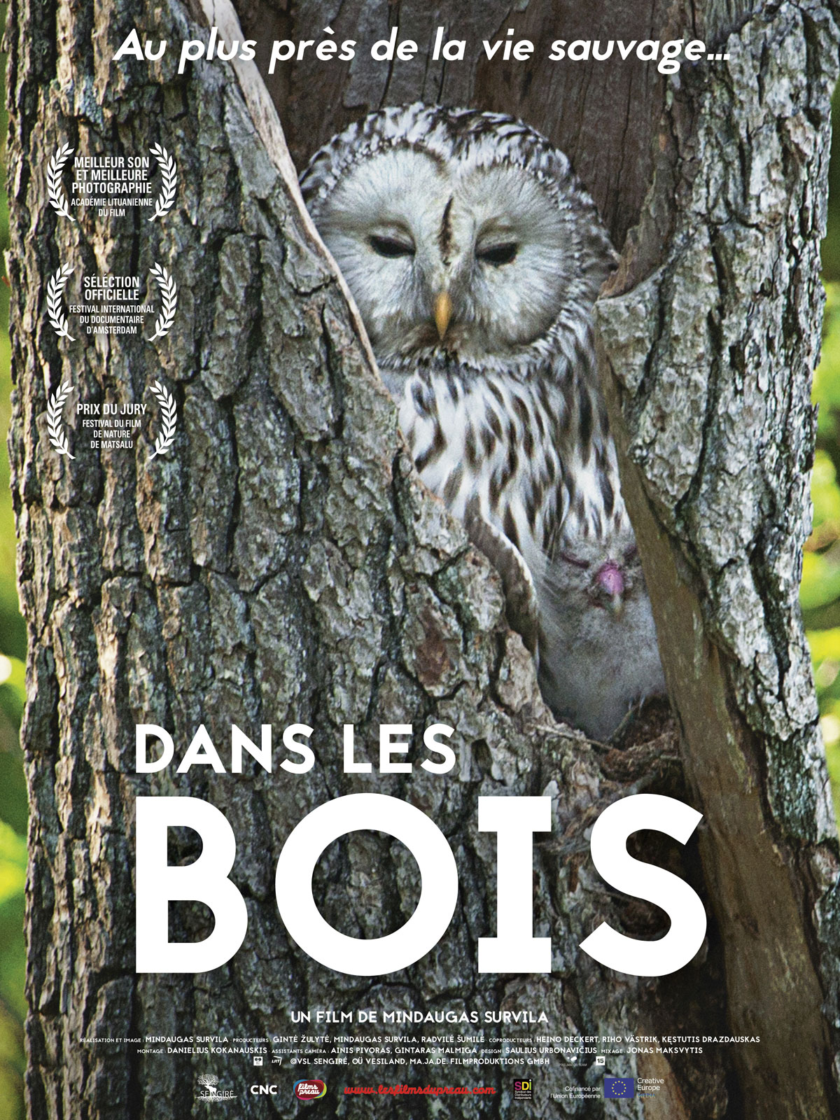 dans les bois affiche film