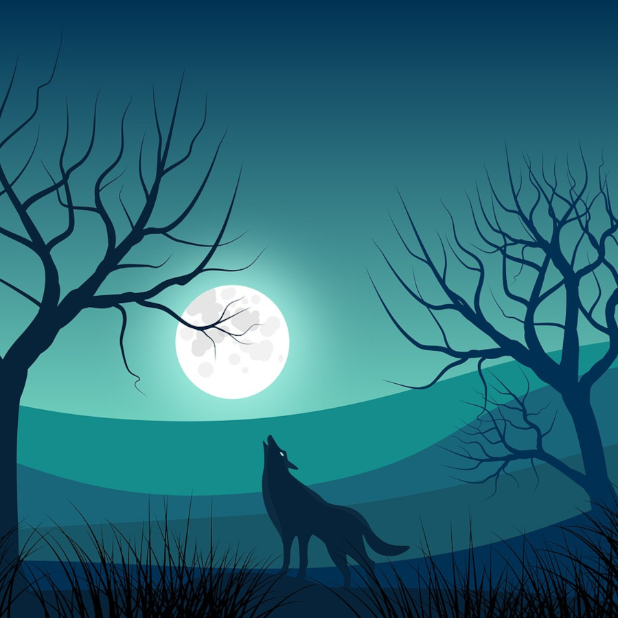dessin loup hurlant a la lune