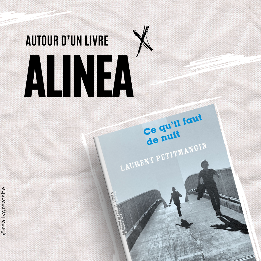 Alinea autour d'un livre  Livre "Ce qu'il faut de nuit" de Laurent Petitmangin