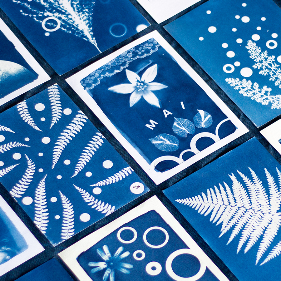 Cyanotype ©Fañch Lepage