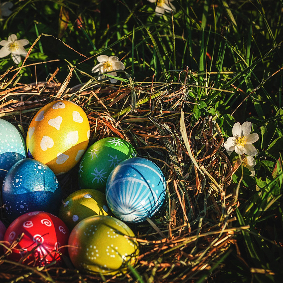 Œufs au chocolat dans un nid posé dans l'herbe