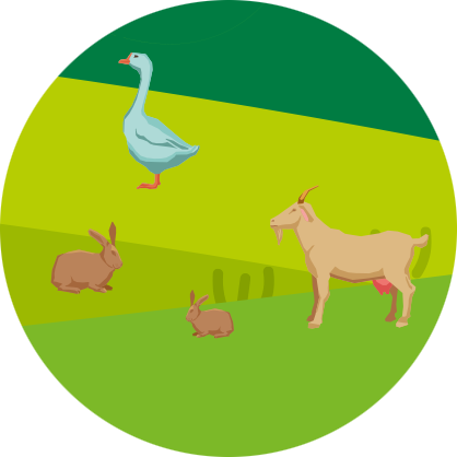 Animaux