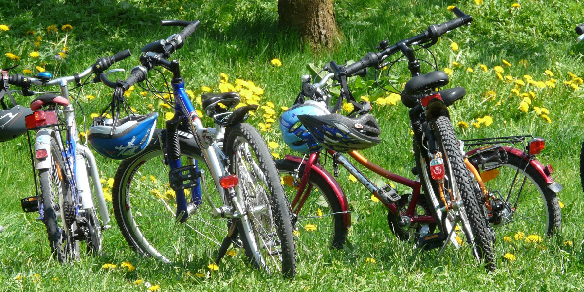Vélos stationnées dans l'herbe