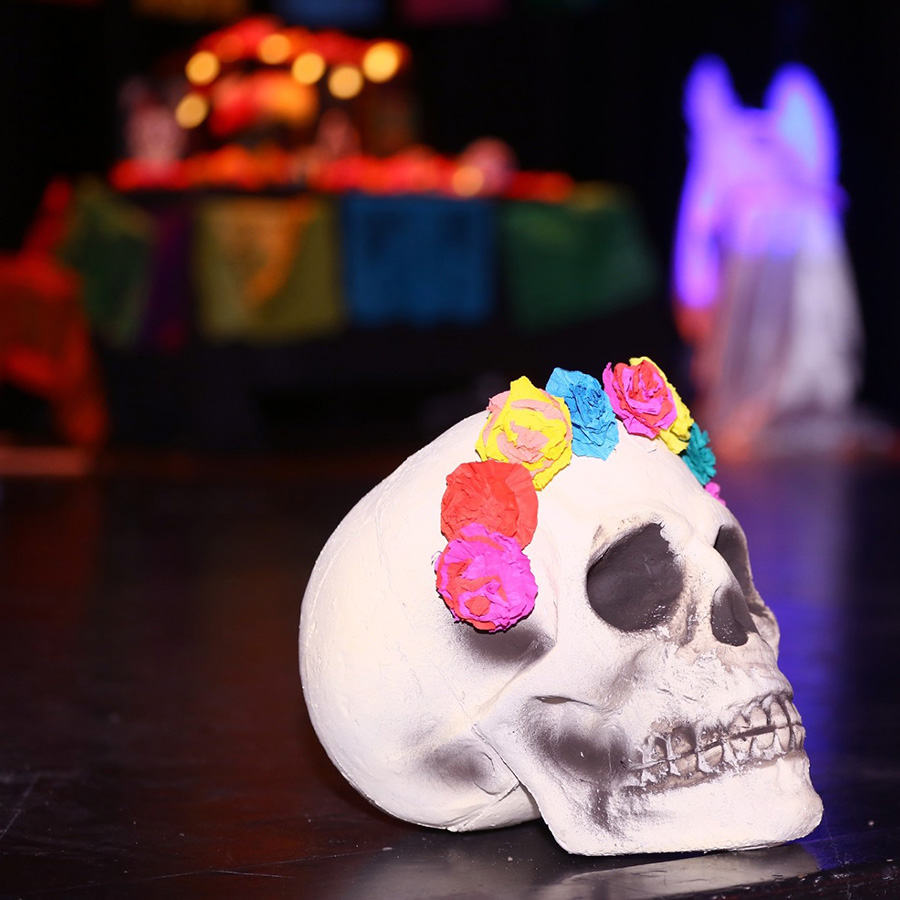 Spectacle Frida y la Muerte - Calaveras