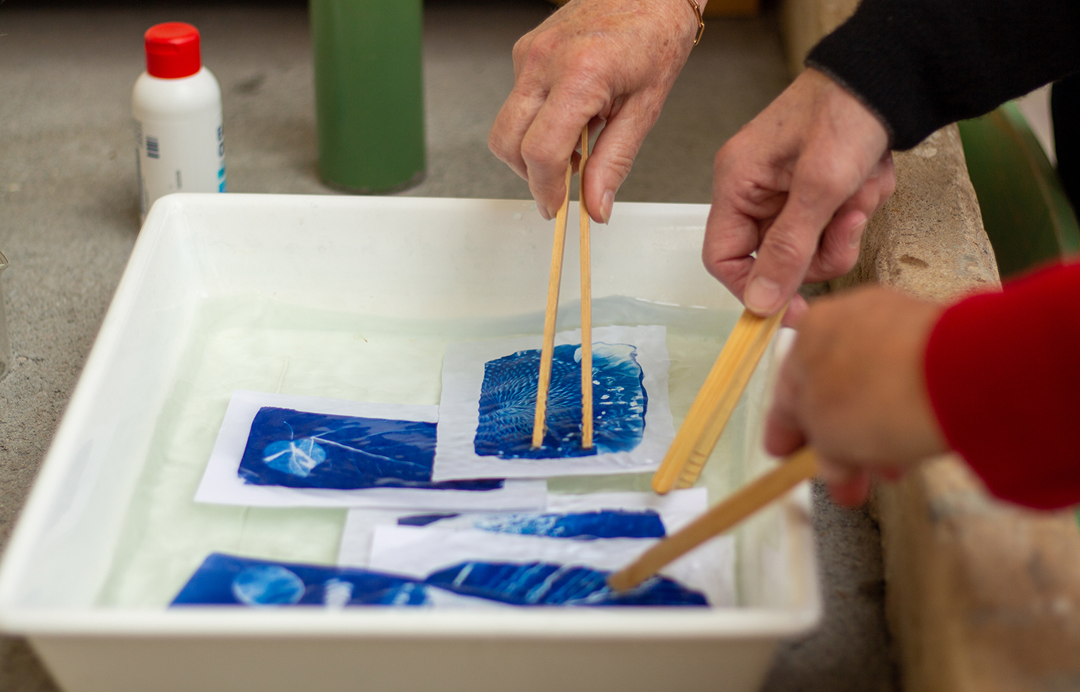 Cyanotype ©Fañch Lepage