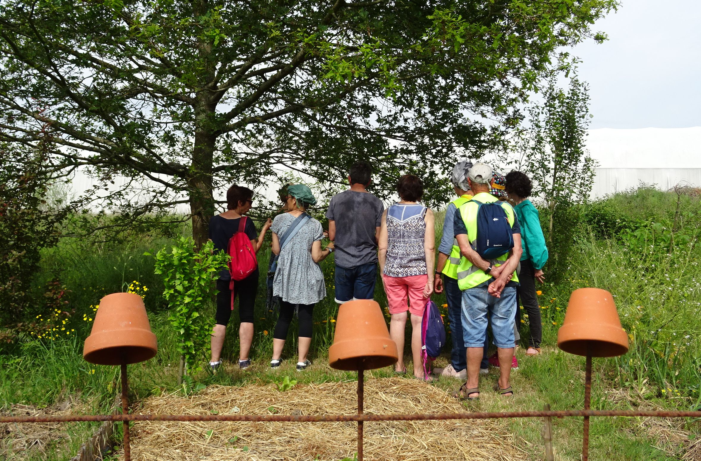 particpants a la tournee des potagers 2022 de dos dans un jardin
