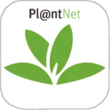 Application Plantnet